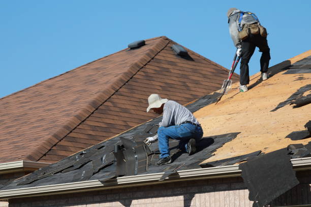 Best Wood Shake Roofing  in Berkeley, CA